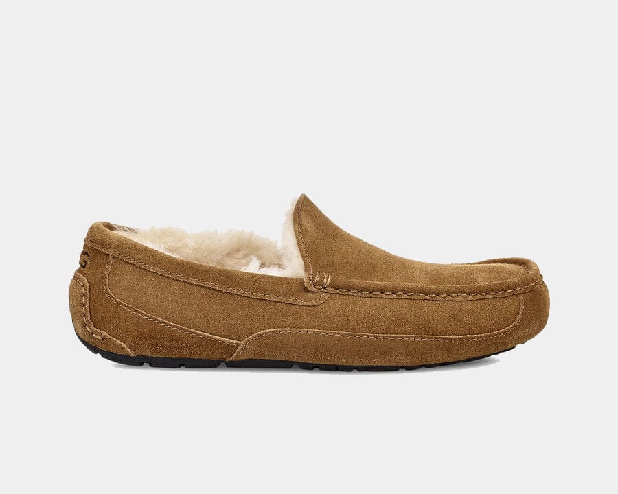 A pair of UGG Ascot suede slippers in chestnut color with sheepskin lining, featuring a rubber sole.