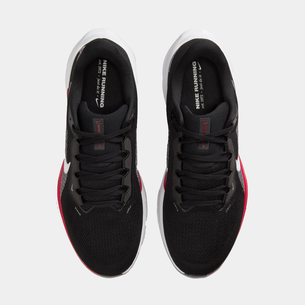 Atlanta Falcons Pegasus 41