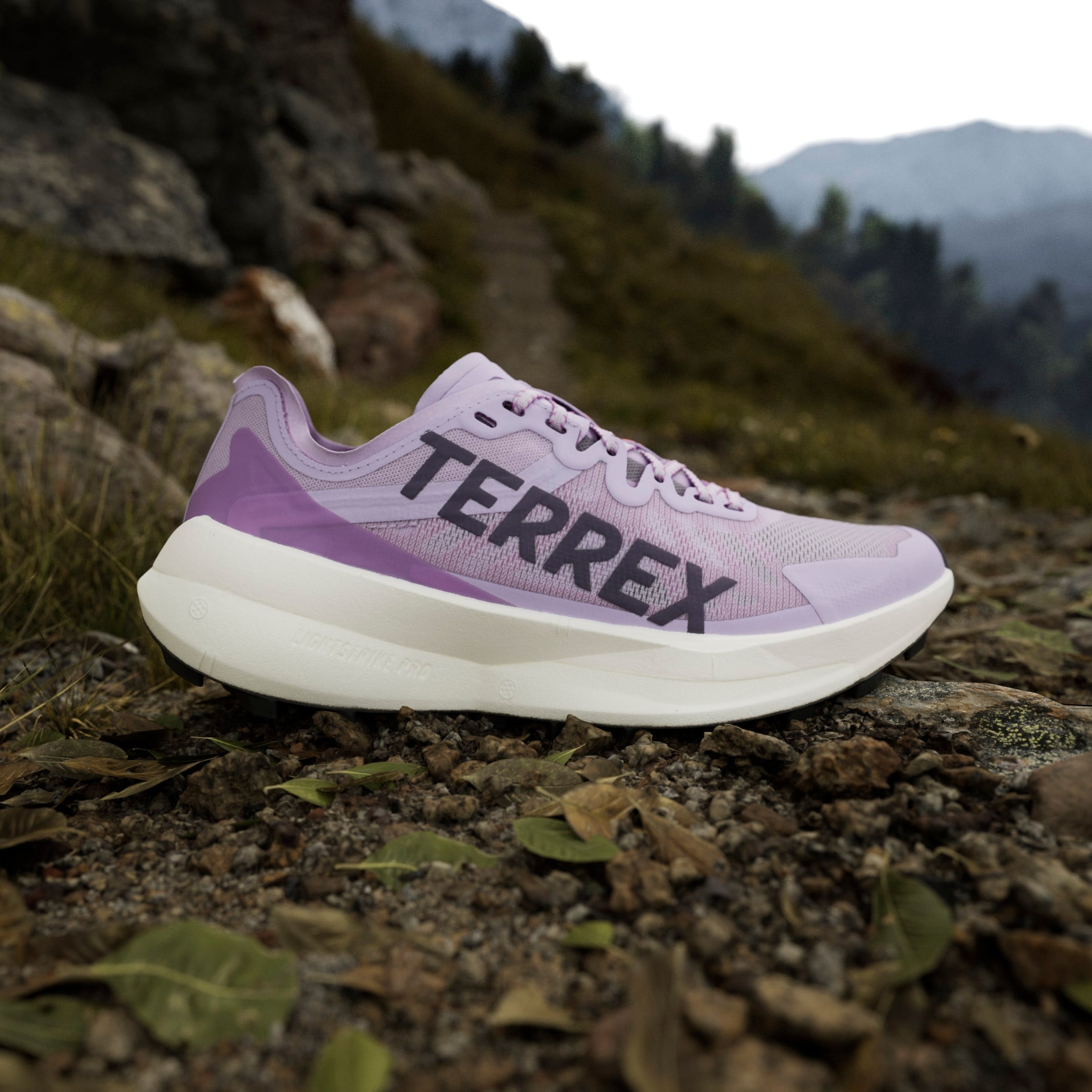 adidas Terrex Agravic Speed | Powder Plum / Aurora Plum / Lucid Red | Womens