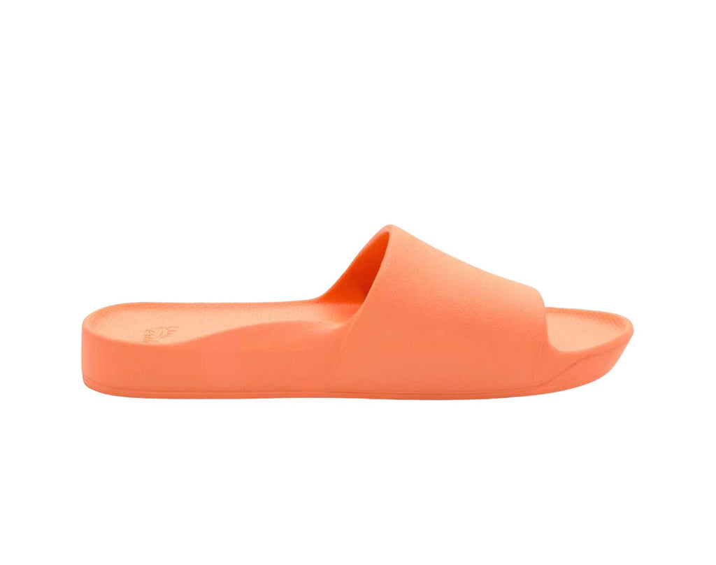 Archies Support Slides