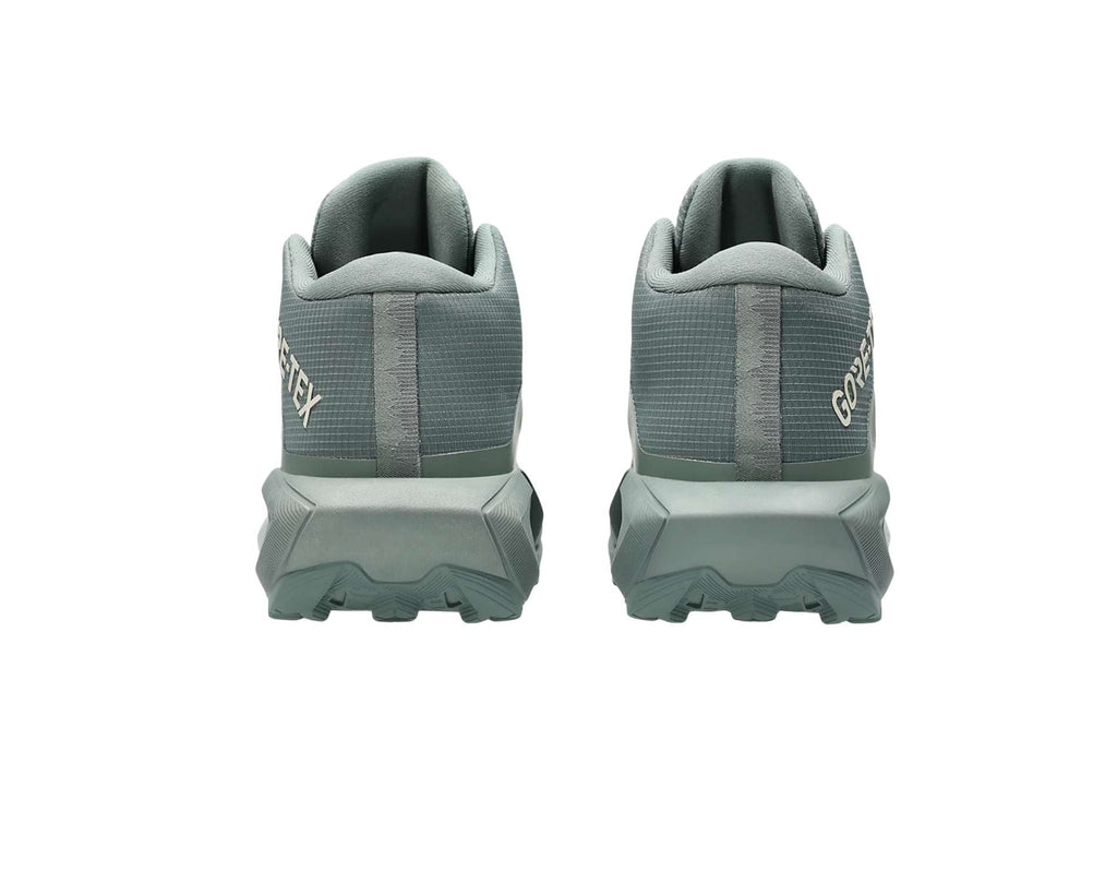 Asics GEL-Trabuco MT GTX Womens Trail Running Shoes