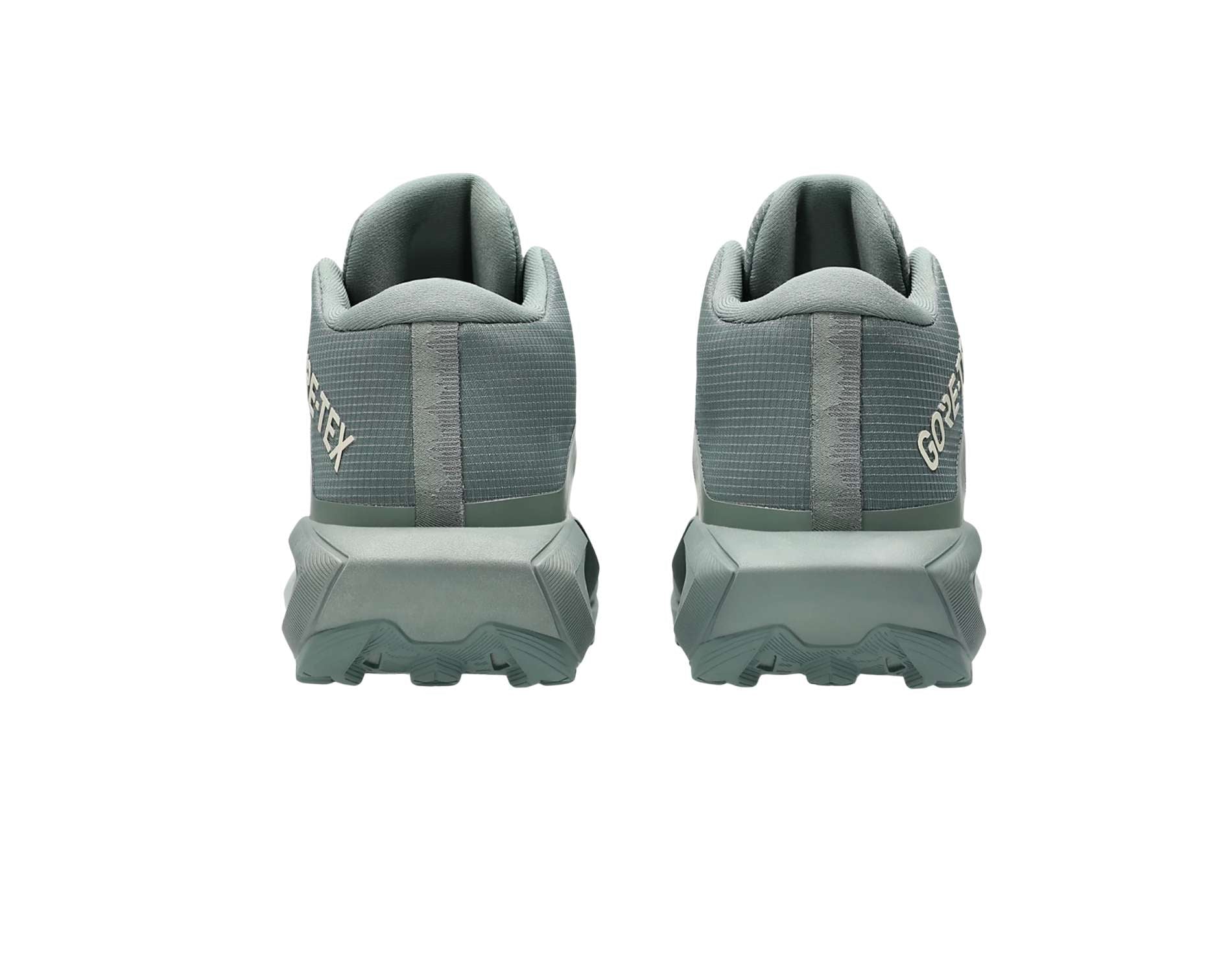 Asics GEL-Trabuco MT GTX Womens Trail Running Shoes