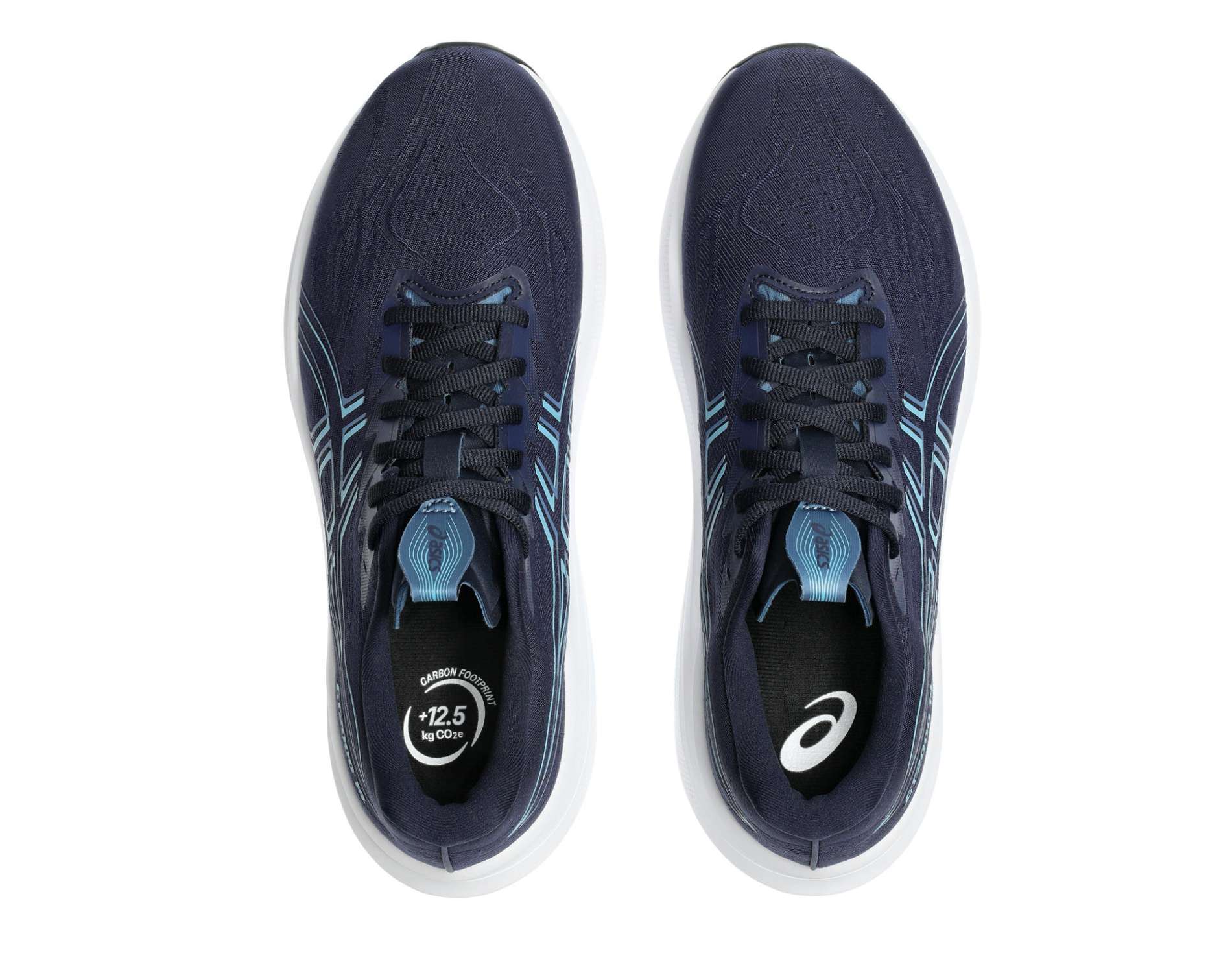 Asics GT-2000 14 Mens Wide Running Shoes