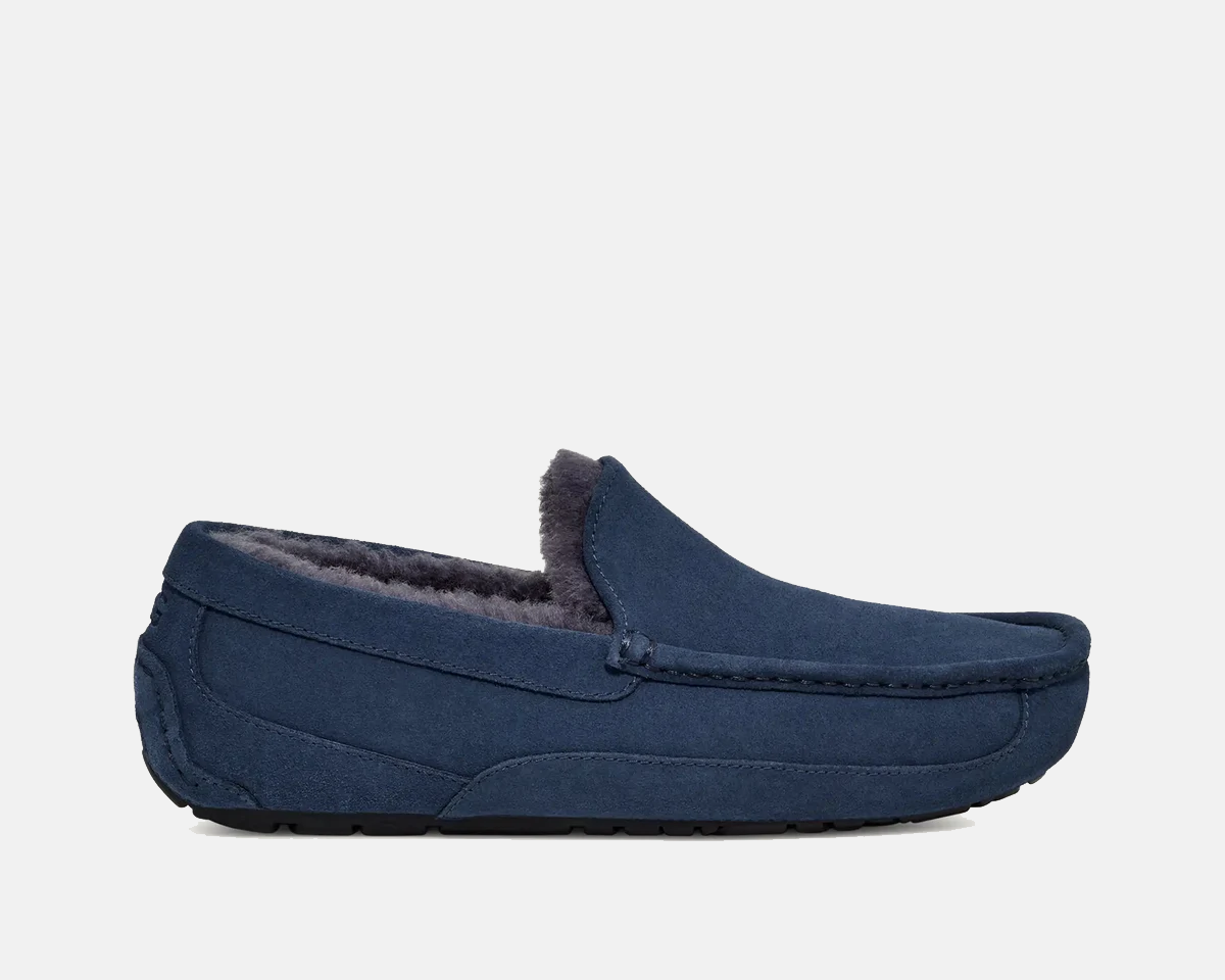 Ascot Suede